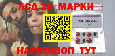 гидра Будённовск