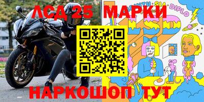 гидра Будённовск
