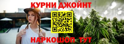 гидра Будённовск