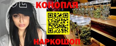 гидра Будённовск