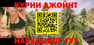 гидра Будённовск
