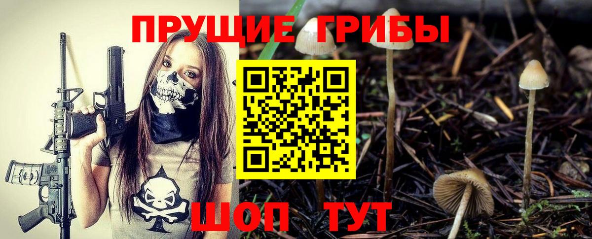 Галлюциногенные грибы MAGIC MUSHROOMS  Вход с VPN  Печора 