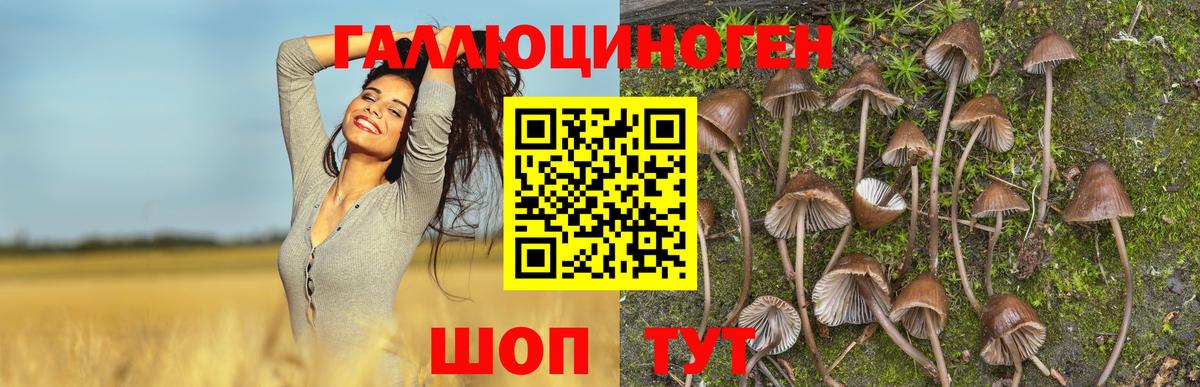 Галлюциногенные грибы MAGIC MUSHROOMS Печора